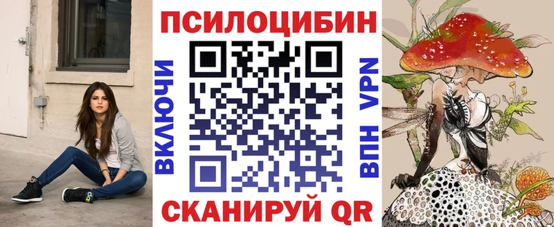 мега зеркало  магазин продажи наркотиков  Гурьевск  Псилоцибиновые грибы GOLDEN TEACHER 